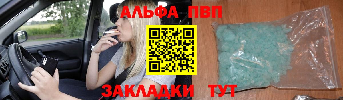 Alfa_PVP СК Сургут